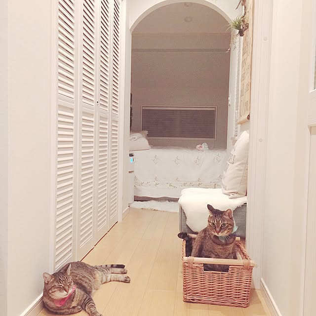 lovecatさんの実例写真