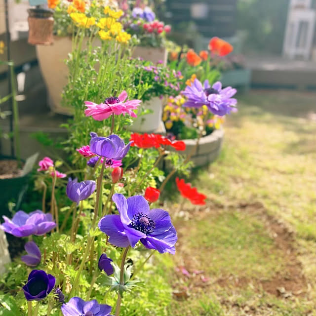sunabaさんの実例写真