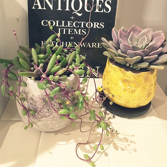 Akiさんの実例写真