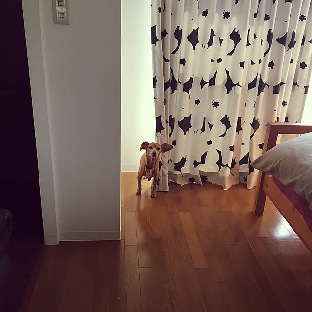Natalieさんの実例写真
