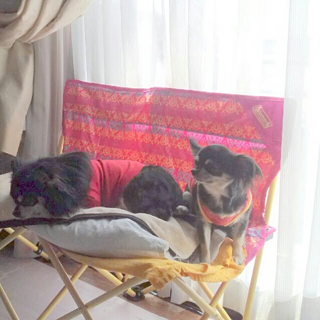 rosemaryさんの実例写真