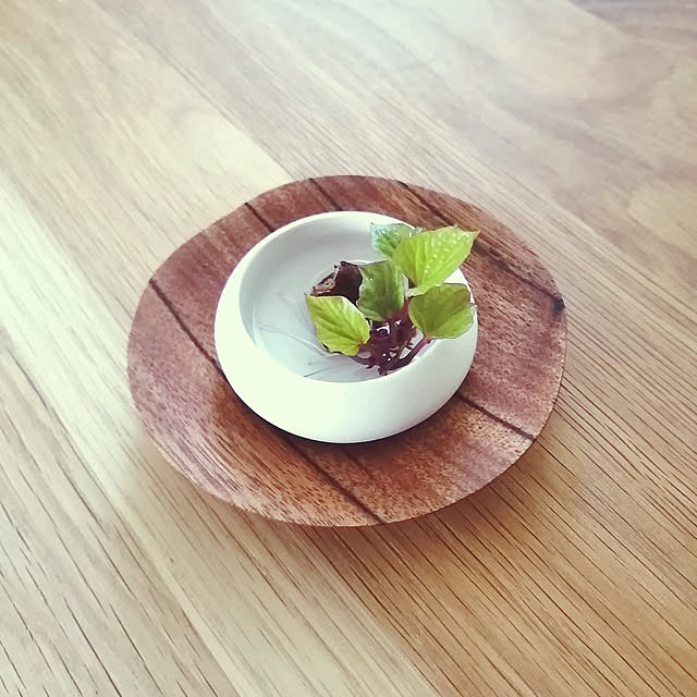 poro.さんの実例写真