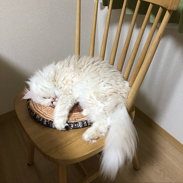 mimosaさんの実例写真