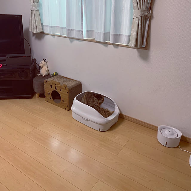 chiiさんの実例写真