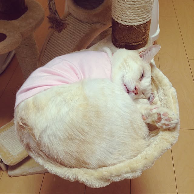 Hecacoさんの実例写真