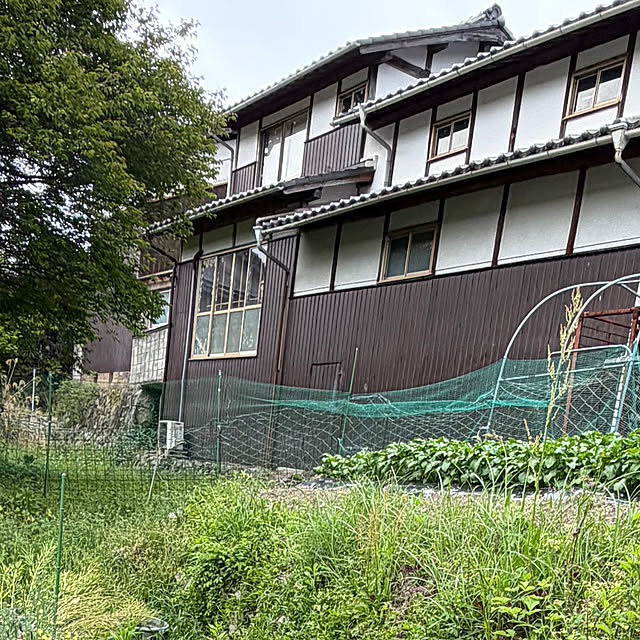 cotaさんの部屋
