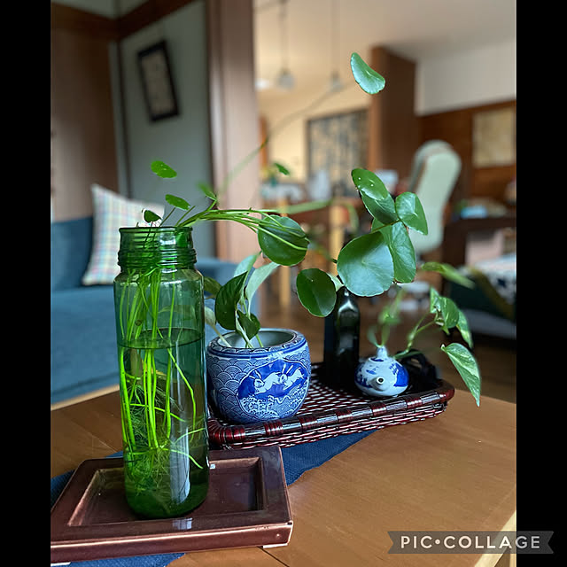 buchiさんの実例写真