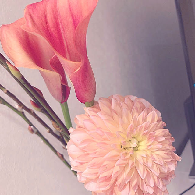 2thousand.cさんの実例写真