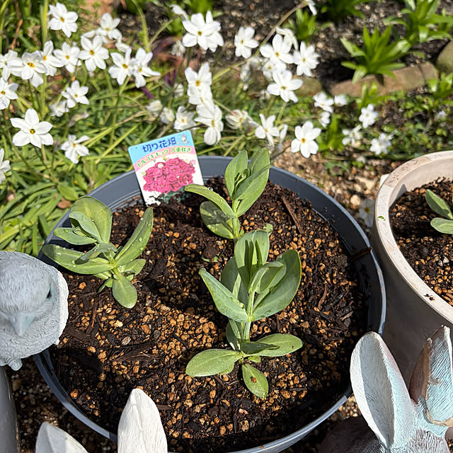 ritsukoさんの部屋