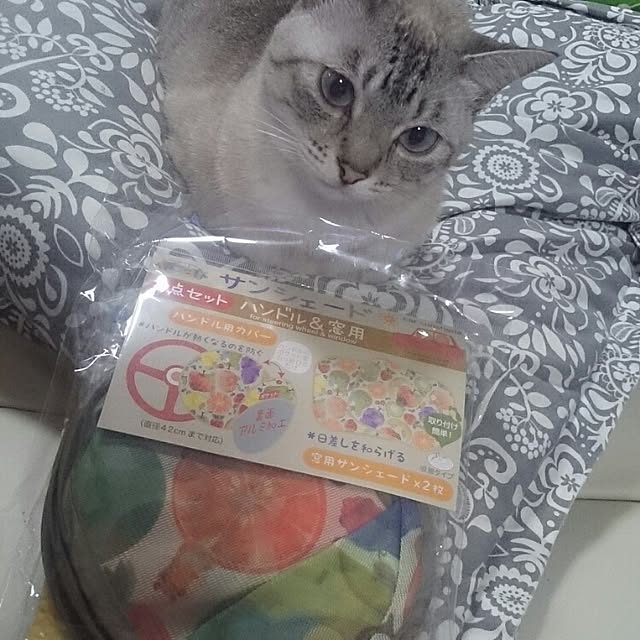 hoshiさんの実例写真