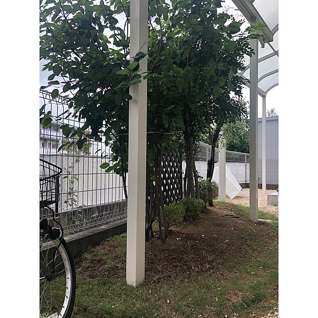 nono.0129さんの実例写真