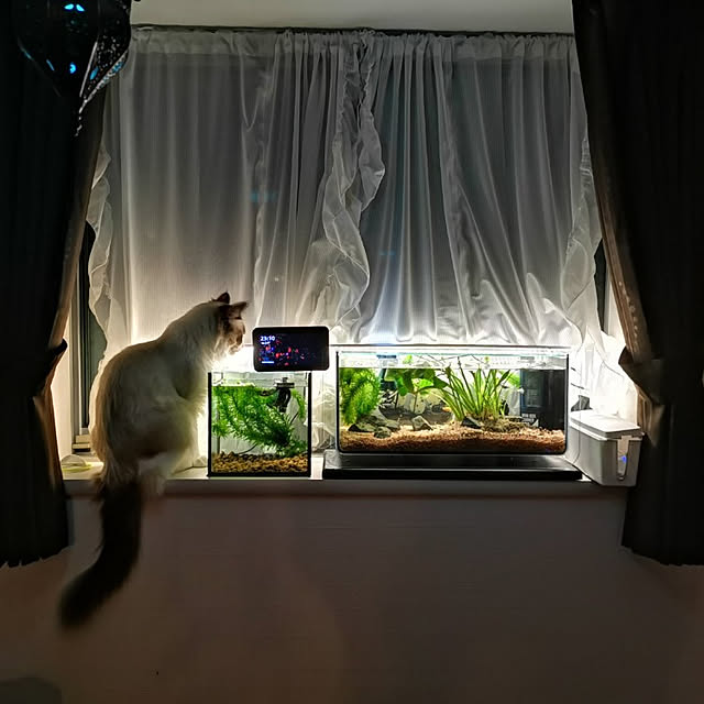 Porolinさんの実例写真