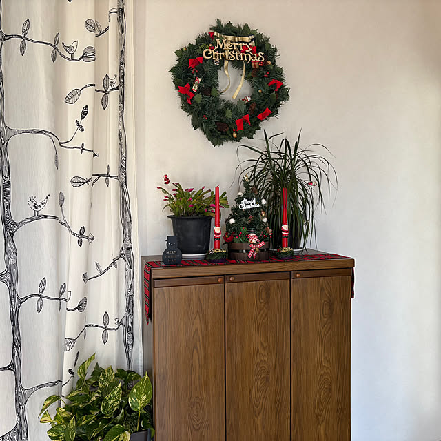 CASSISさんの部屋