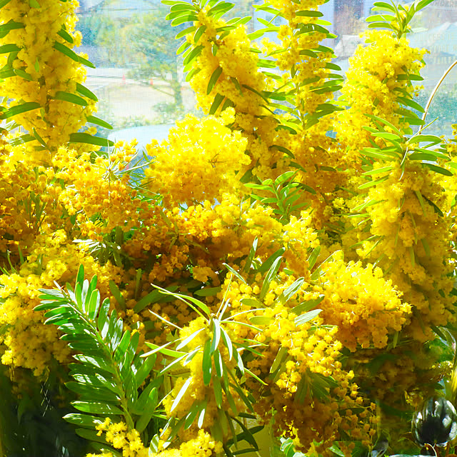 rukakoさんの部屋