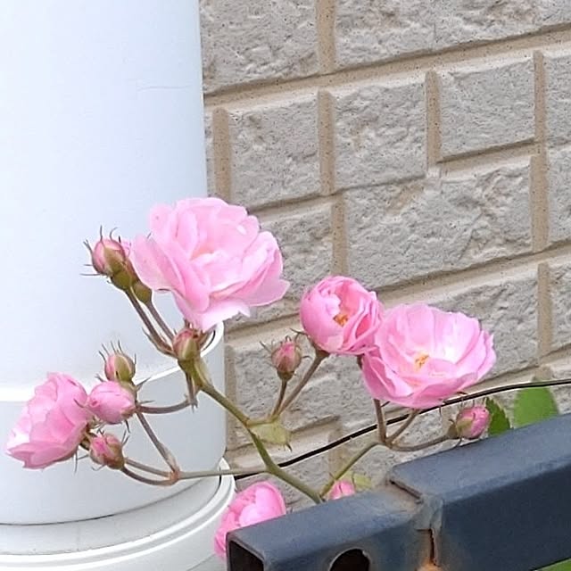 Bienvenueさんの部屋