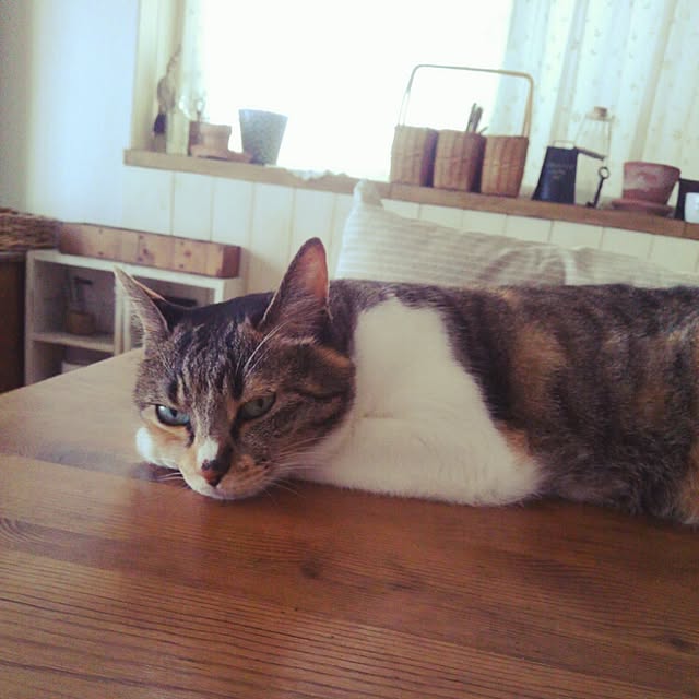 tomo1220さんの実例写真