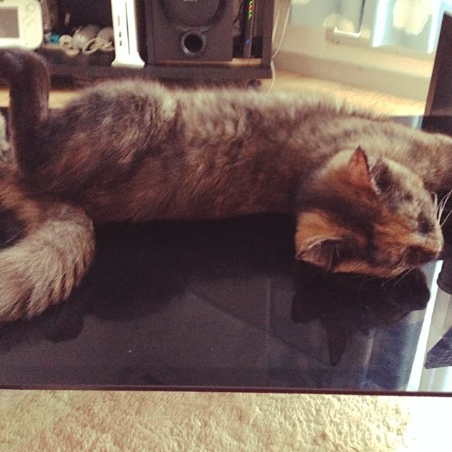 yufullfullさんの実例写真