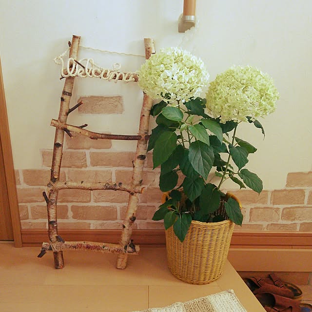 sachi0416さんの実例写真
