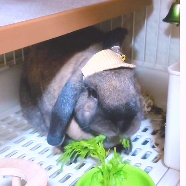 mariaさんの実例写真