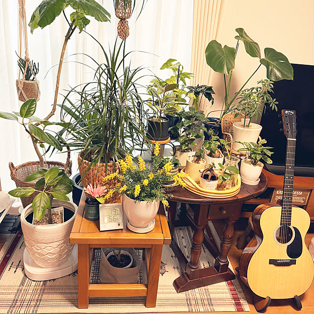 misoさんの実例写真