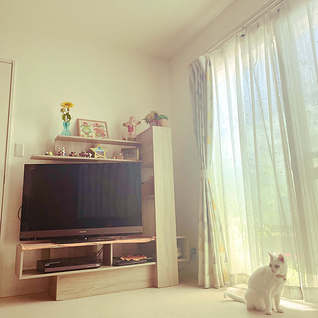 Maiさんの部屋