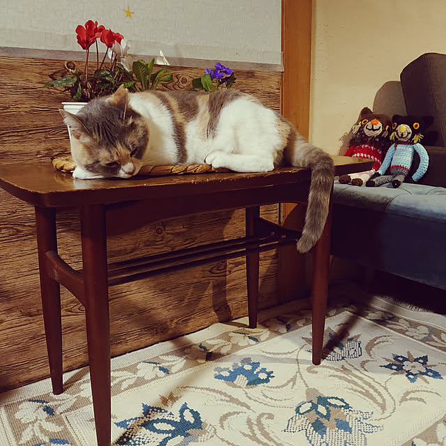fukuさんの実例写真