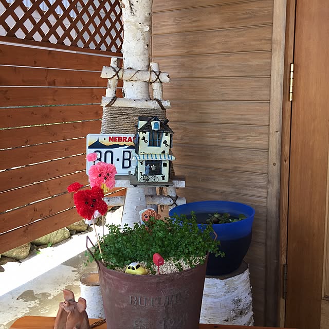 momoさんの実例写真