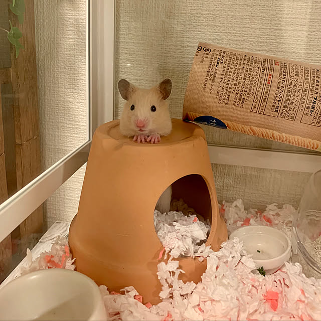 Kaneyukiさんの実例写真