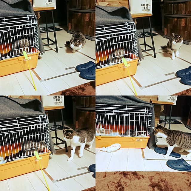 kiraさんの実例写真