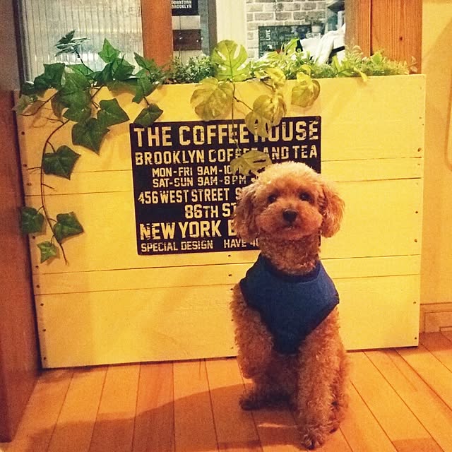 taketakeさんの実例写真
