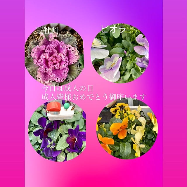 YuuKoさんの実例写真