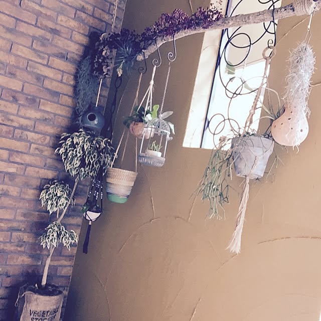 885さんの実例写真