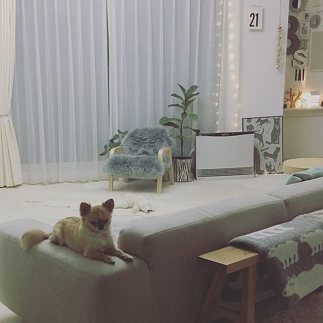haruhinaさんの実例写真
