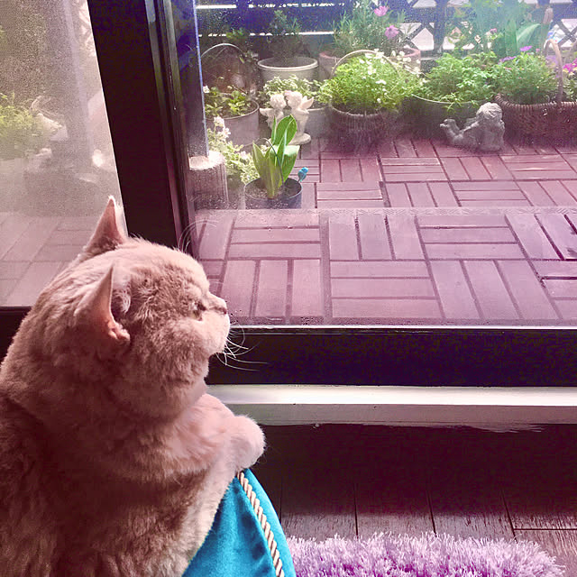 naokoさんの実例写真