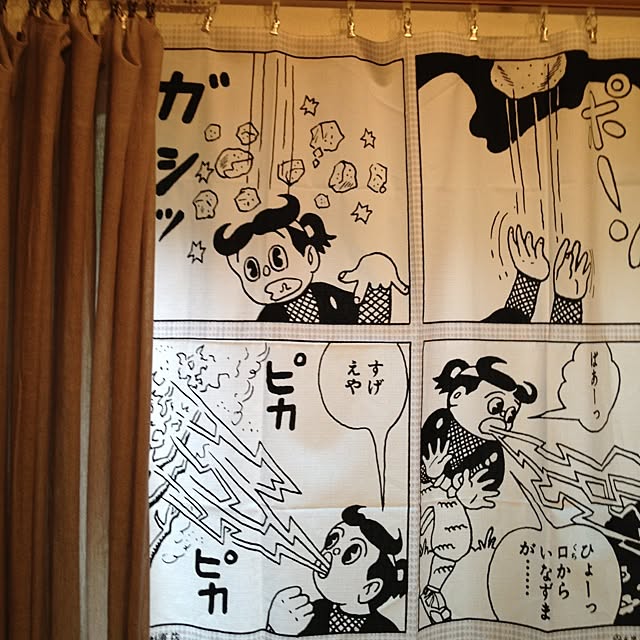 shishaさんの実例写真