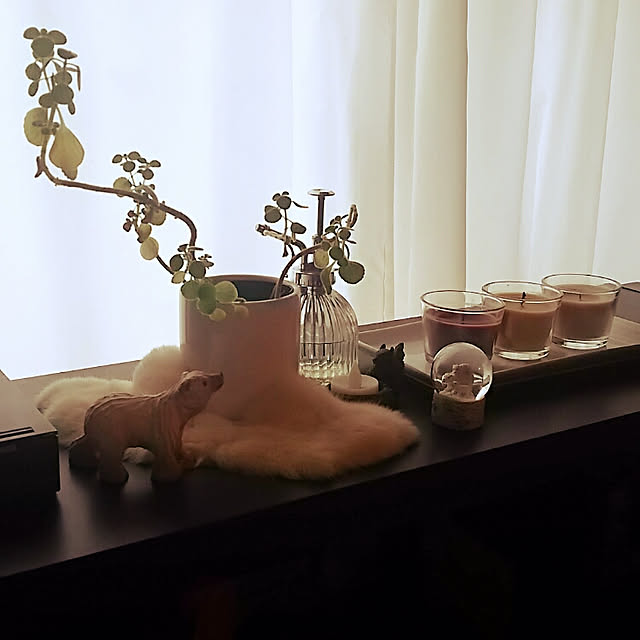 tokyo_room_tmさんの実例写真