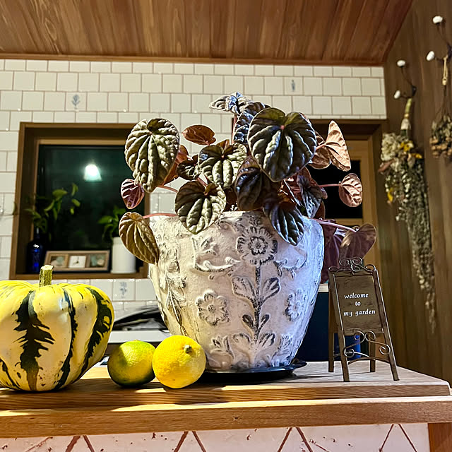 cota2さんの部屋
