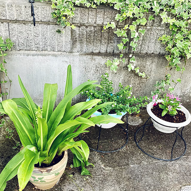 CoCo0617さんの実例写真