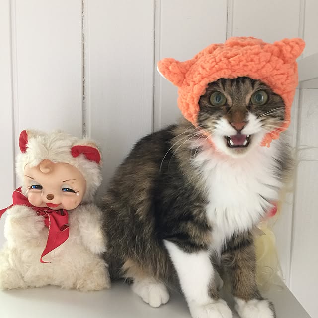 yuchiさんの実例写真