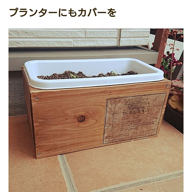 mayumiさんの実例写真