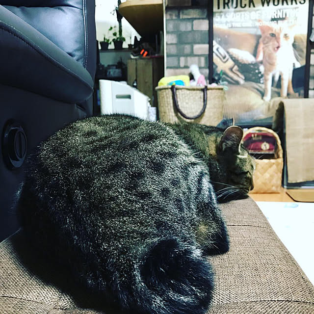 panchanさんの実例写真