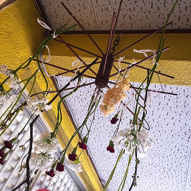 natulove0418さんの実例写真