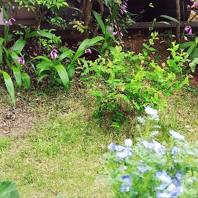 katさんの実例写真