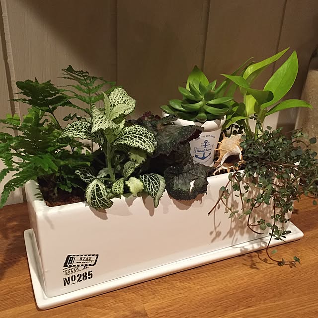 joe_coolさんの実例写真