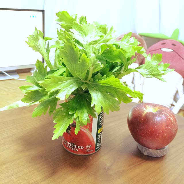 mipさんの実例写真
