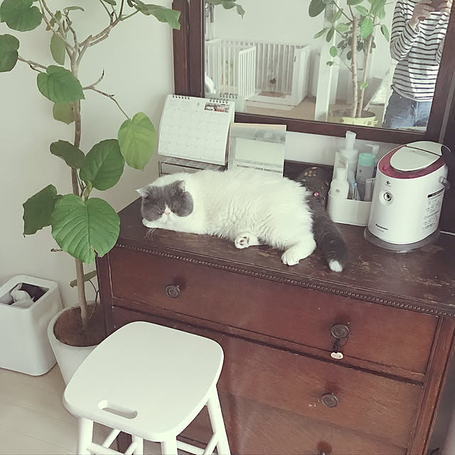 mukkomikkoさんの実例写真
