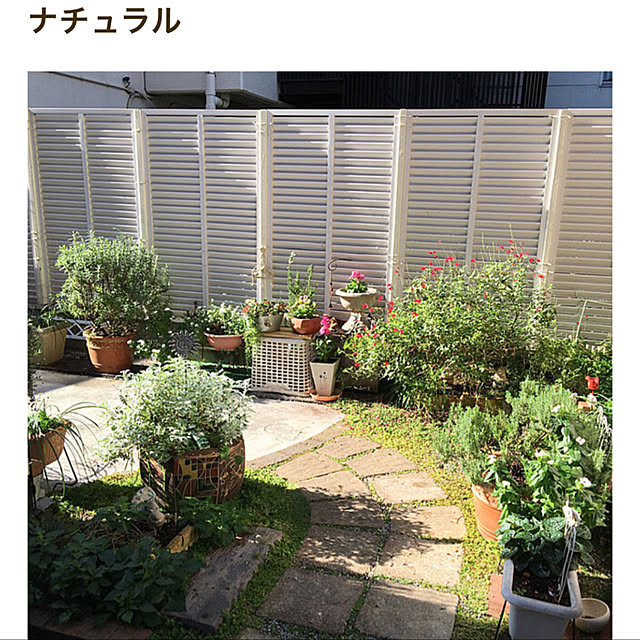 puriyuzuさんの実例写真