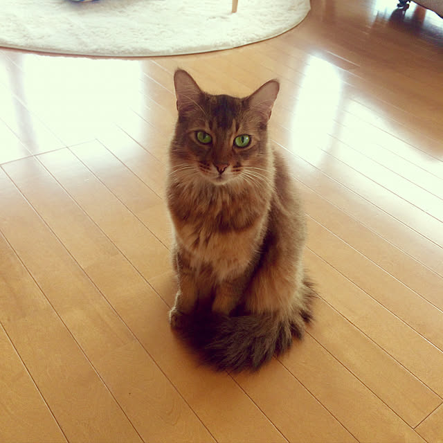 Yumiさんの実例写真