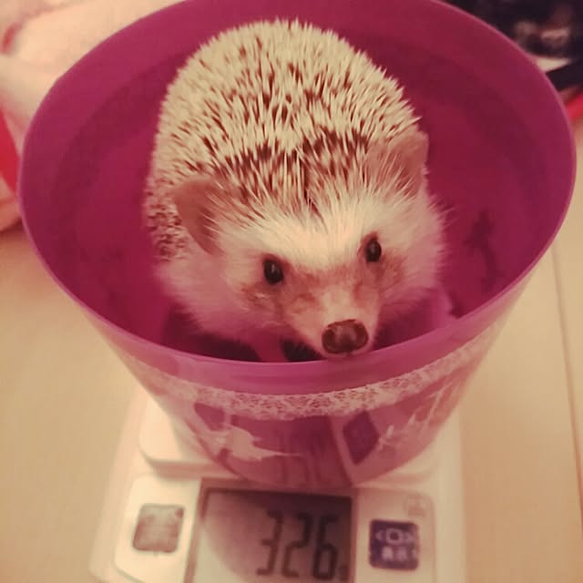 kuruさんの実例写真