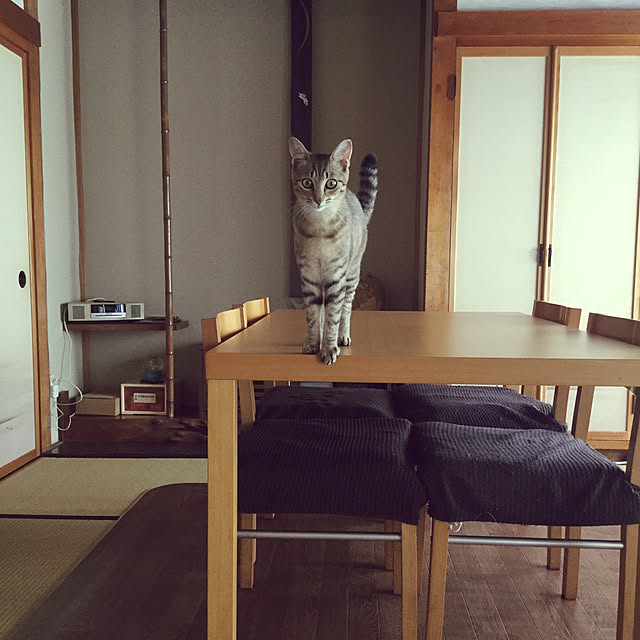 kurukiraさんの実例写真